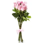 Букет из 11 розовых роз эквадор (70 см)